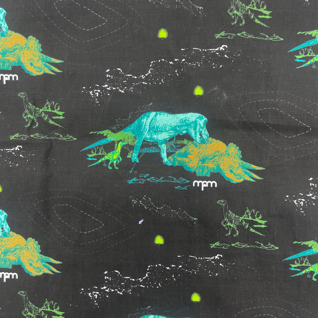 Hell Creek Button Down