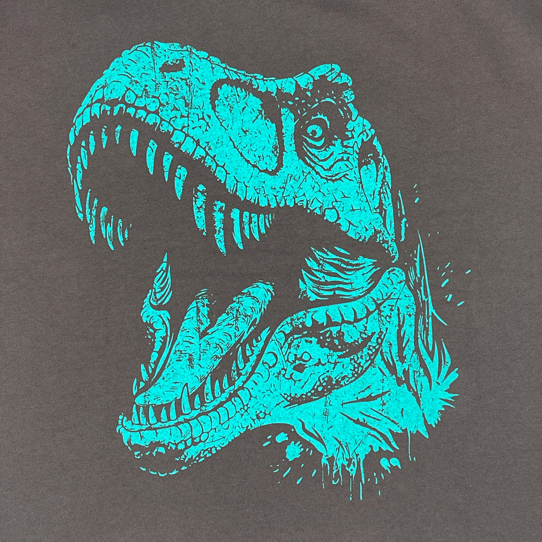 Youth Milwaukee Public Museum T. Rex Hoodie