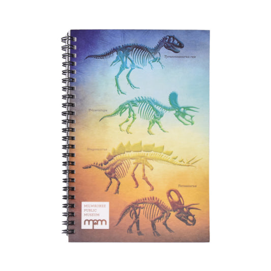 MPM Dinosaur Notebook